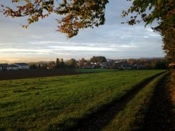Am Buchwald im Oktober